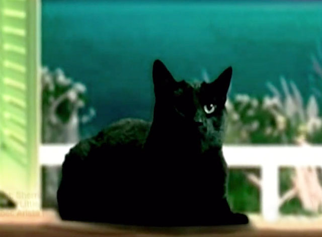 Little Bird - Sherrié Austin - black cat sitting on windowsill