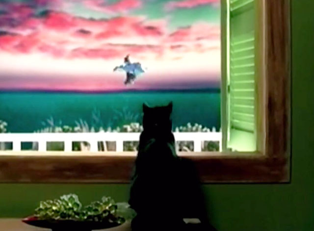 Little Bird - Sherrié Austin - black cat on windowsill watching singer fly away