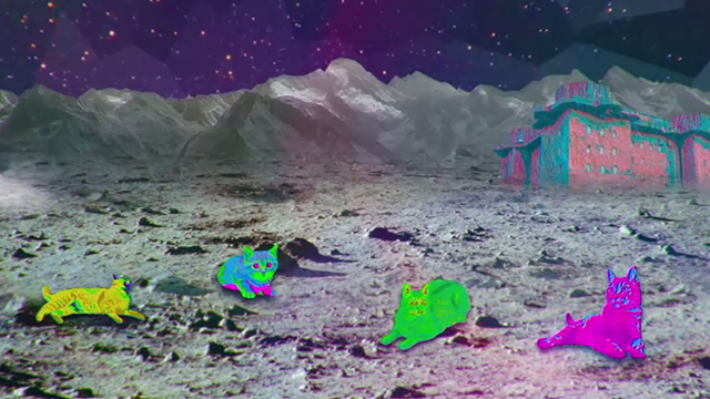 Moonwalk - Phon.o - colorful cats on the moon