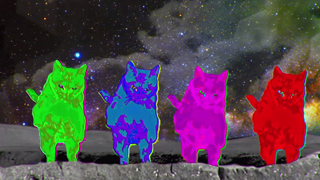 Moonwalk - Phon.o - colorful cats leaping on moon