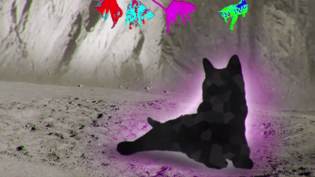 Moonwalk - Phon.o - colorful cats jumping onto giant black cat on moon