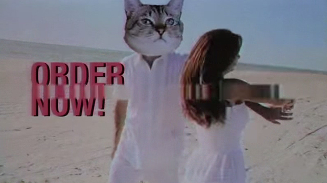 Nimble Bastard - Incubus - cat headed man on beach with woman