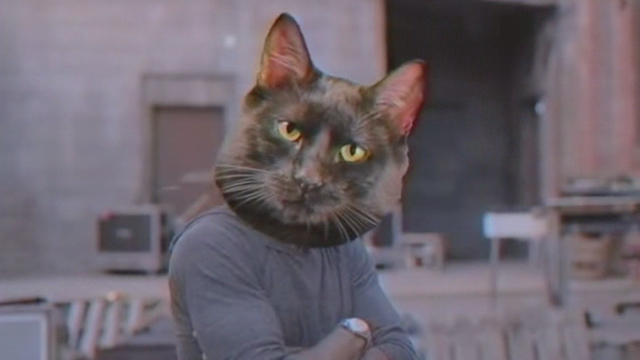 Nimble Bastard - Incubus - cat headed Incubus band member
