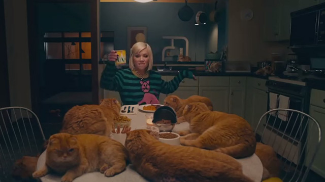 Now That I Found You - Carly Rae Jepson - multiple butterscotch Scottish fold tabby cats Shrampton on table with Carly