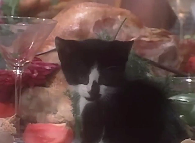 The One Thing - INXS - tuxedo kitten on table surrounded by food