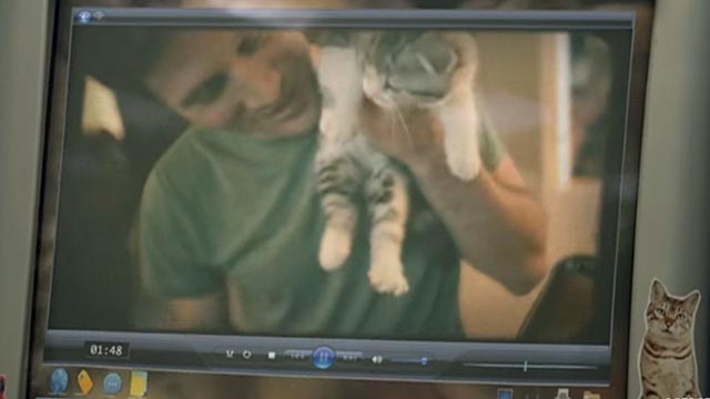 Ours - Taylor Swift - boyfriend Zach Gilford holding Scottish fold kitten
