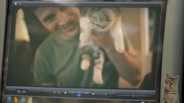 Ours - Taylor Swift - boyfriend Zach Gilford still holding Scottish fold kitten