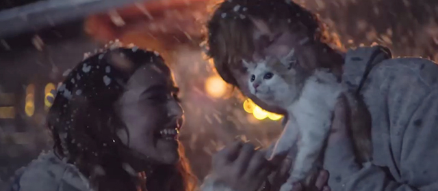 Perfect - Ed Sheeran - ginger and white kitten in snow with Ed Sheeran and Zoey Deutch