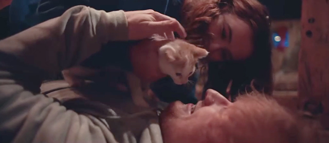 Perfect - Ed Sheeran - ginger and white kitten on floor with Ed Sheeran and Zoey Deutch