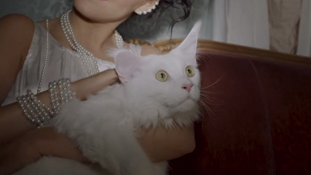 Saara Aalto - Queens - Saara petting long haired white cat