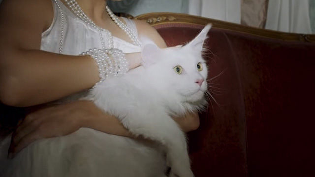 Saara Aalto - Queens - Saara petting long haired white cat
