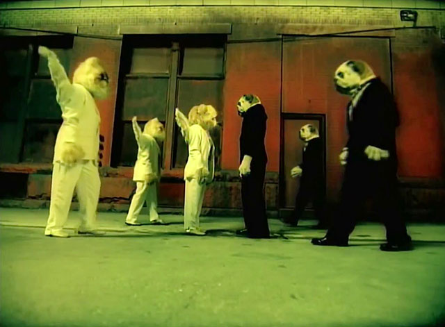 School of Hard Knocks - P.O.D. - tabby Persian kitten angels facing off with bulldog demons