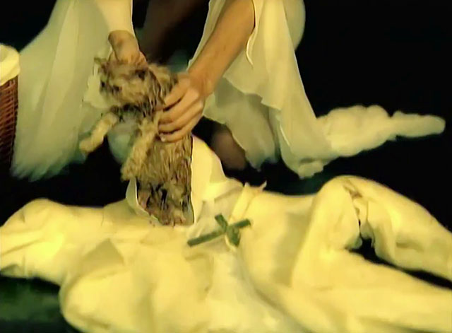 School of Hard Knocks - P.O.D. - wet tabby Persian kitten being picked up from angel clothes