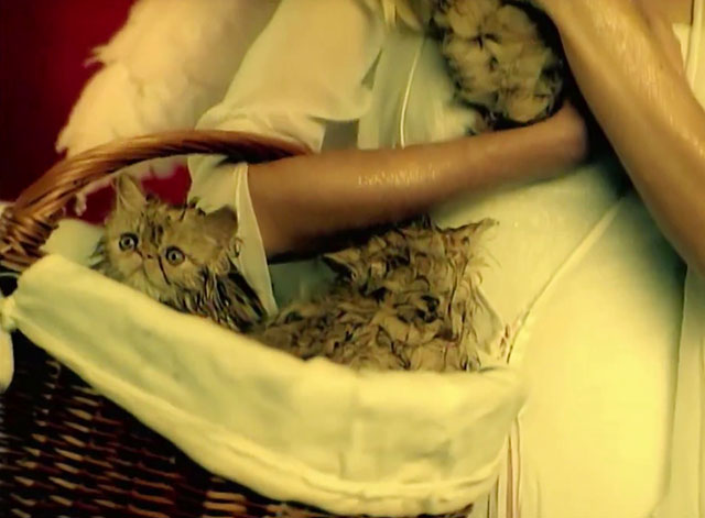 School of Hard Knocks - P.O.D. - angel with basket of wet tabby Persian kittens