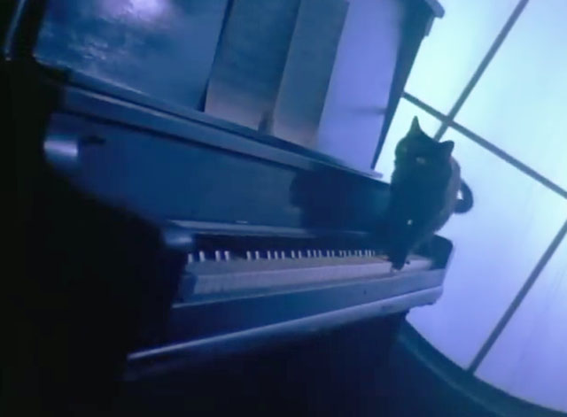 Smooth Criminal - Michael Jackson - black cat on piano