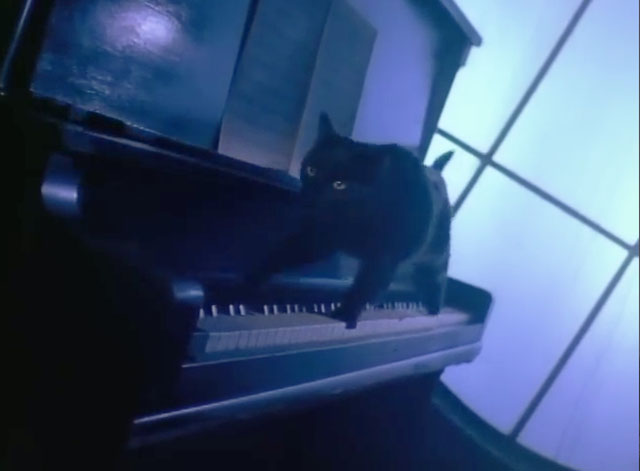 Smooth Criminal - Michael Jackson - black cat on piano