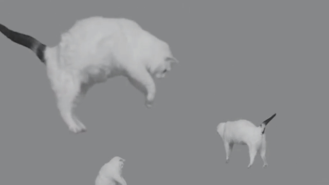 Systematic - Midnight Juggernauts - white cats falling