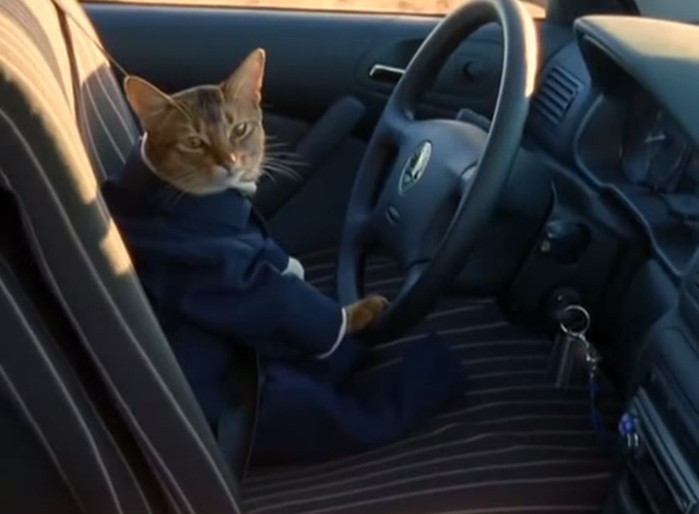 Triumph of a Heart - Björk - Abyssinian cat Litsen sitting in suit in front seat of car
