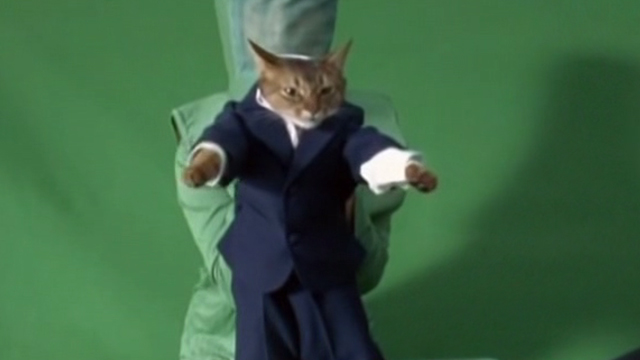 Triumph of a Heart - Björk - Behind the scene shot of Abyssinian cat Litsen in suit being held by person in green screen suit