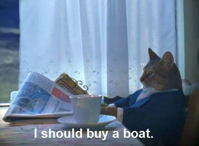 Triumph of a Heart - Björk - Abyssinian cat Litsen in suit at table from I Should Buy a Meme