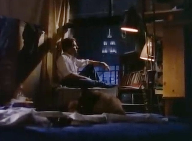 You Belong to the City - Glenn Frey - Siamese cat grooming in foreground